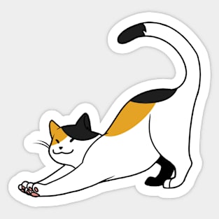 Calico Cat Stretch Sticker